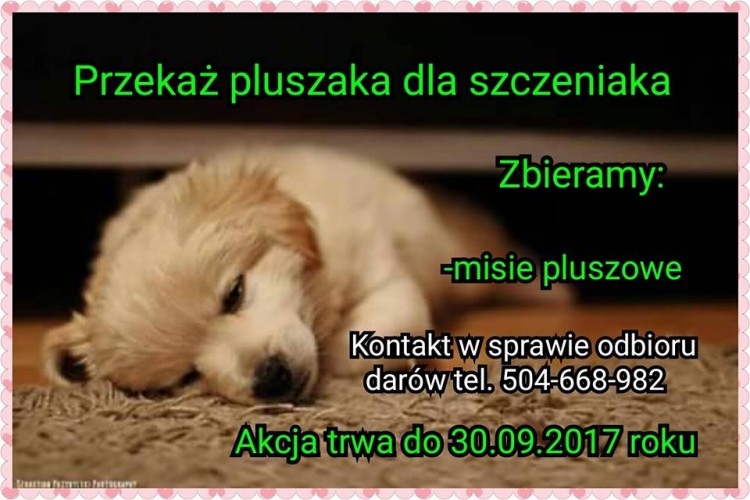 pluszak pluszak