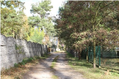 Dąbrowa 3