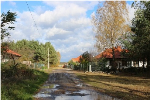 dąbrowa 4