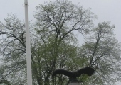 IMG_1873.JPG