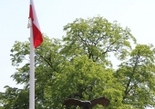 IMG_3459.JPG