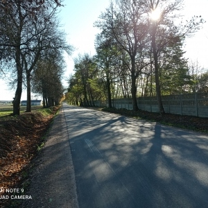 Zdjęcie 1 1303E