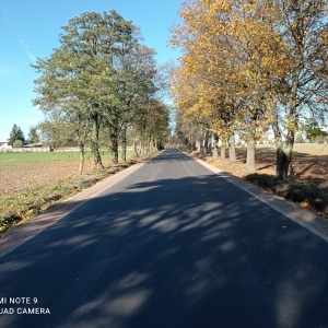 Zdjęcie 2 1303E