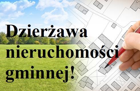 Dzierzawa (1)